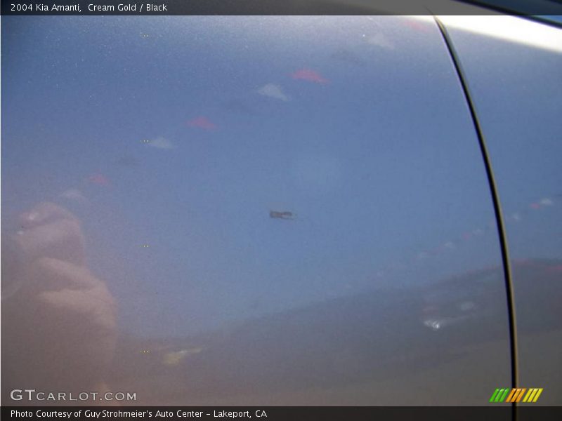 Cream Gold / Black 2004 Kia Amanti