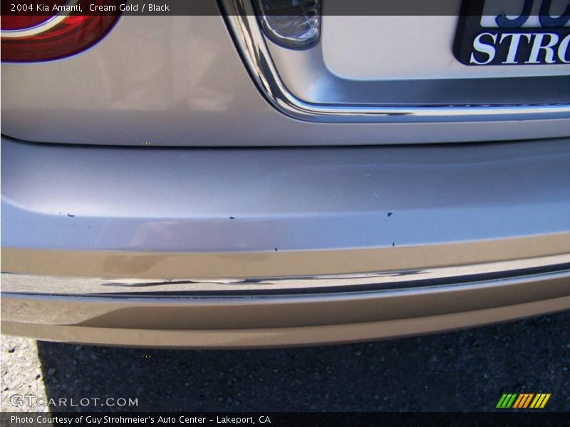 Cream Gold / Black 2004 Kia Amanti