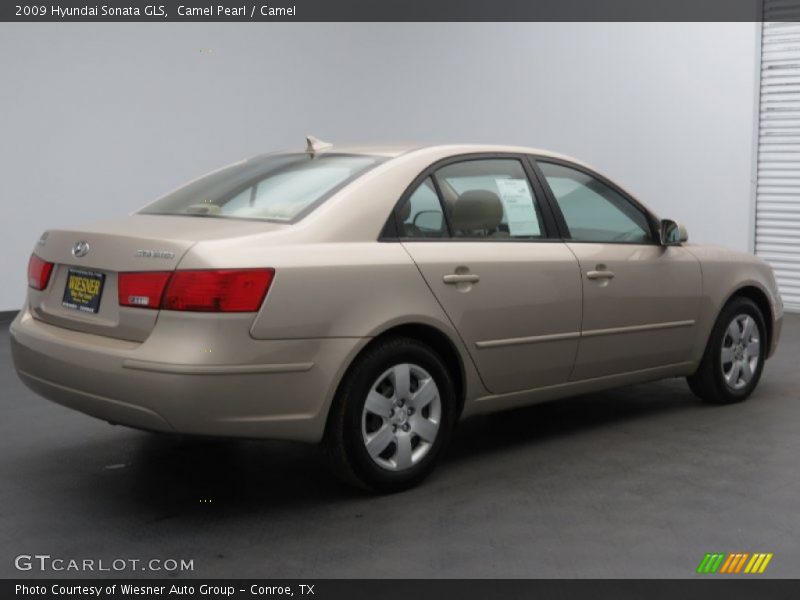 Camel Pearl / Camel 2009 Hyundai Sonata GLS