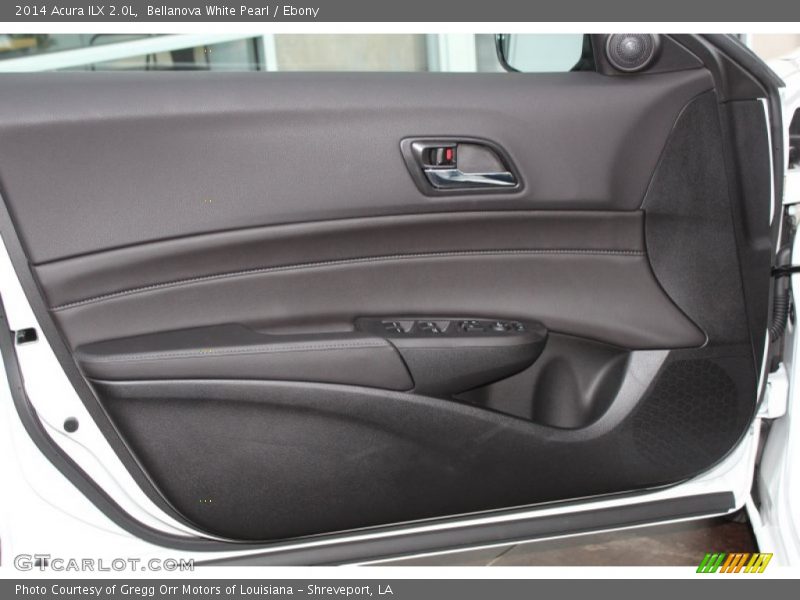 Door Panel of 2014 ILX 2.0L