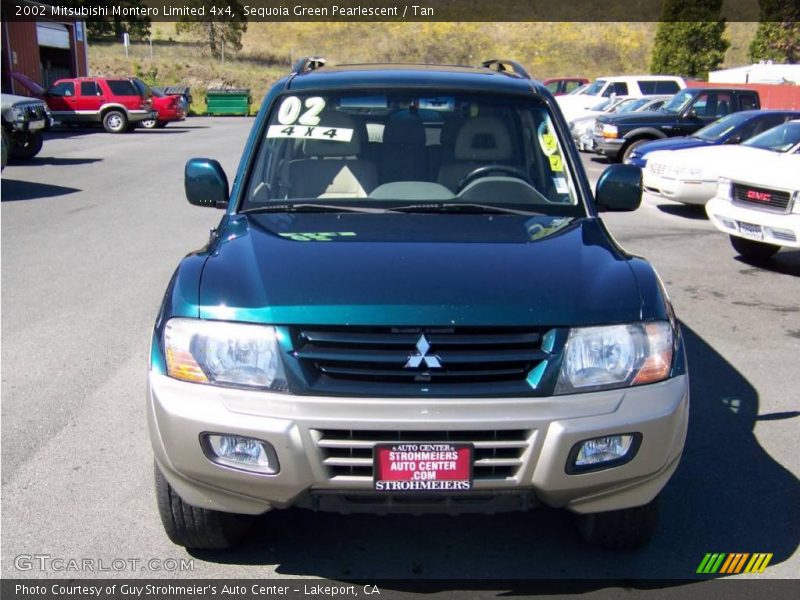 Sequoia Green Pearlescent / Tan 2002 Mitsubishi Montero Limited 4x4