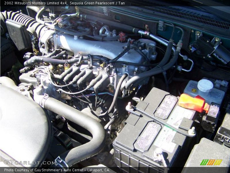 Sequoia Green Pearlescent / Tan 2002 Mitsubishi Montero Limited 4x4