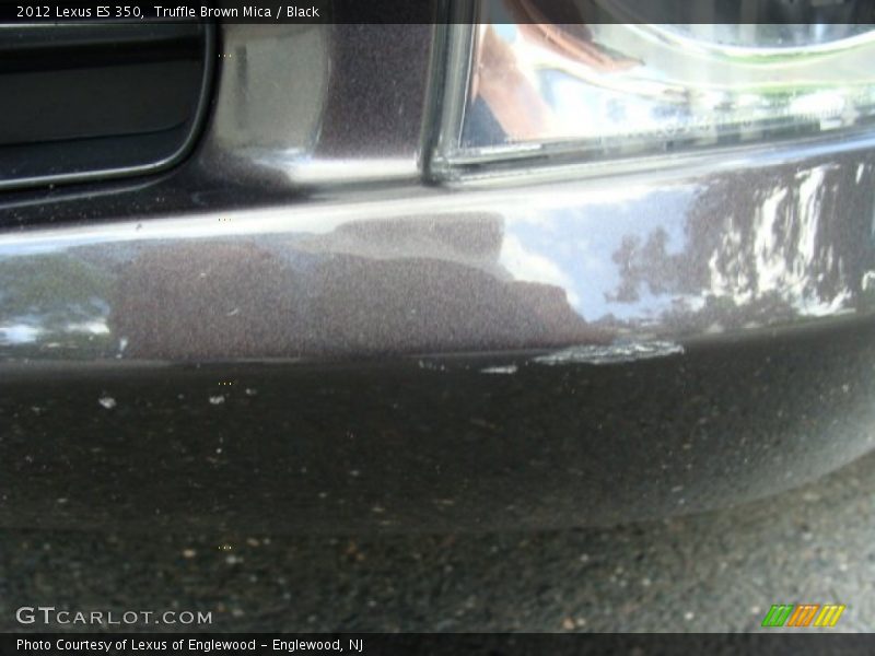 Truffle Brown Mica / Black 2012 Lexus ES 350