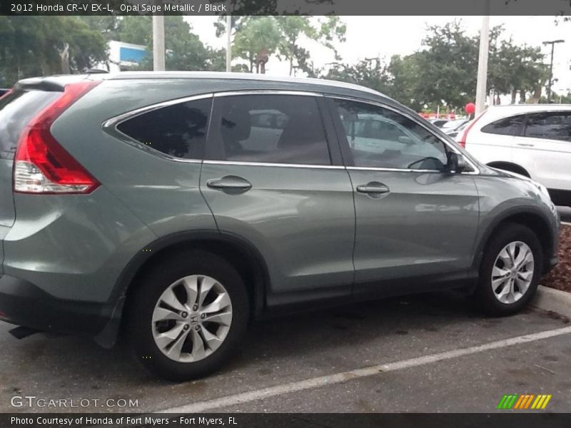 Opal Sage Metallic / Black 2012 Honda CR-V EX-L