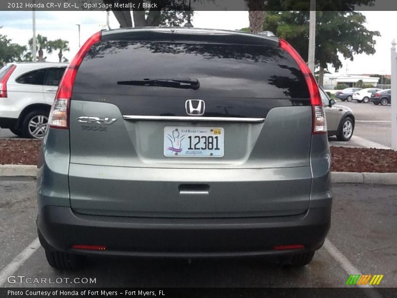 Opal Sage Metallic / Black 2012 Honda CR-V EX-L