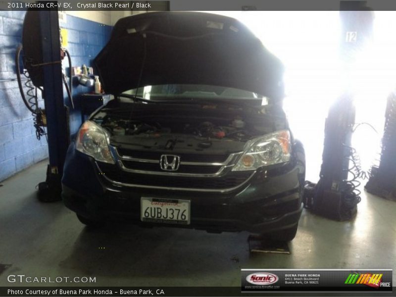 Crystal Black Pearl / Black 2011 Honda CR-V EX