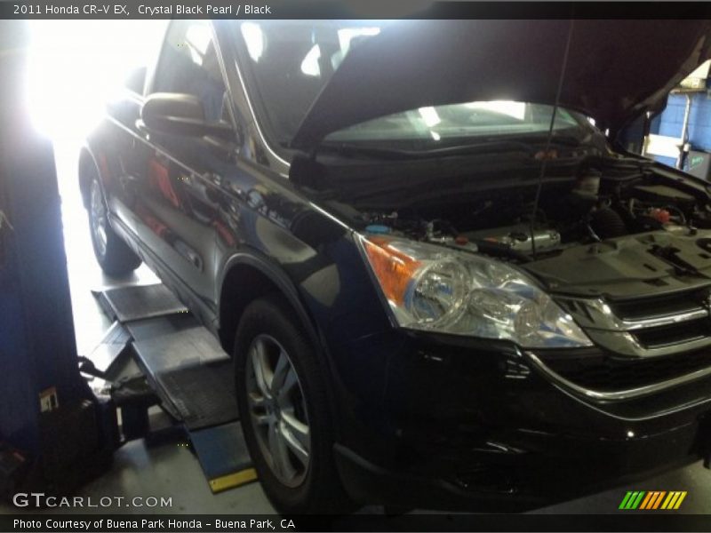 Crystal Black Pearl / Black 2011 Honda CR-V EX