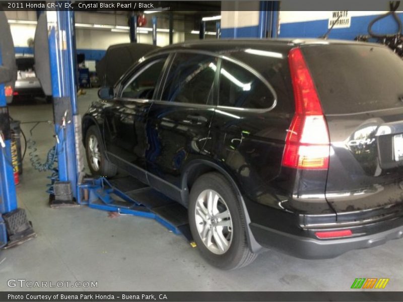 Crystal Black Pearl / Black 2011 Honda CR-V EX