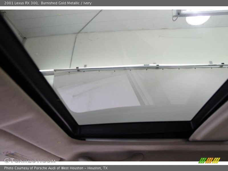 Burnished Gold Metallic / Ivory 2001 Lexus RX 300