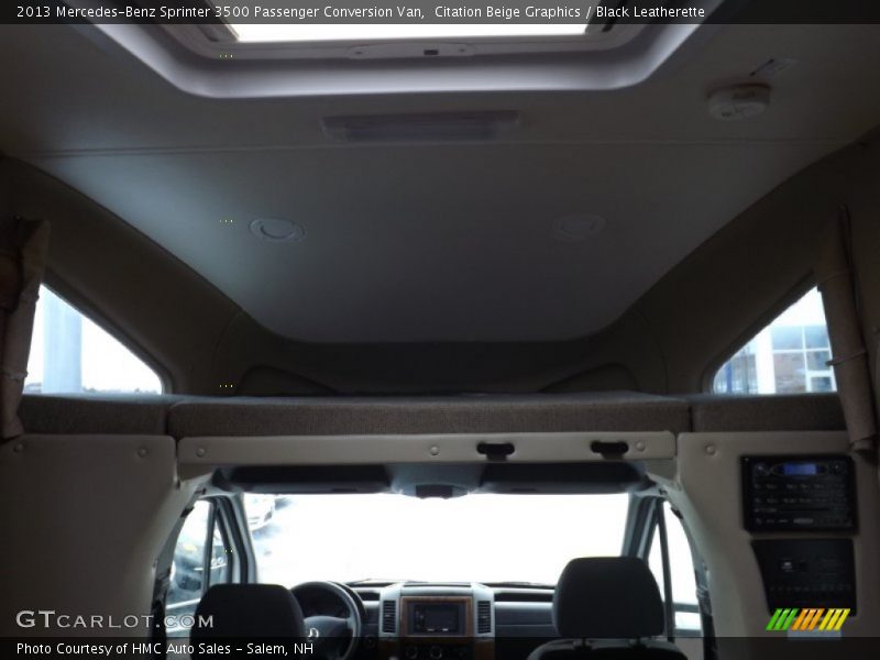 Citation Beige Graphics / Black Leatherette 2013 Mercedes-Benz Sprinter 3500 Passenger Conversion Van