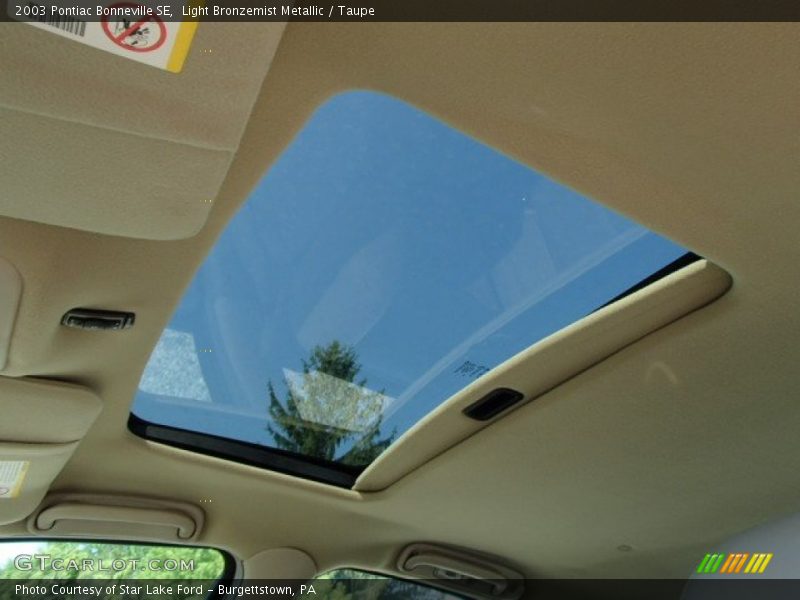 Light Bronzemist Metallic / Taupe 2003 Pontiac Bonneville SE