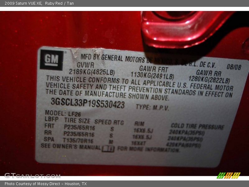 Ruby Red / Tan 2009 Saturn VUE XE