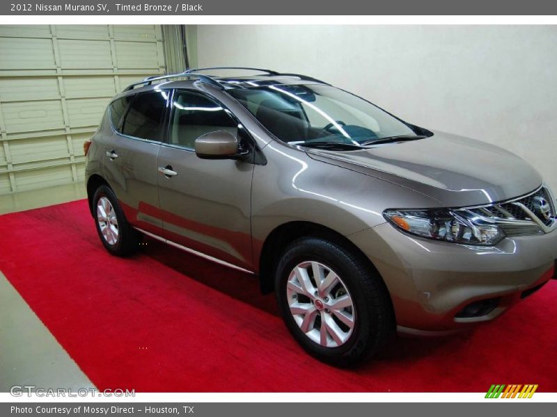 Tinted Bronze / Black 2012 Nissan Murano SV