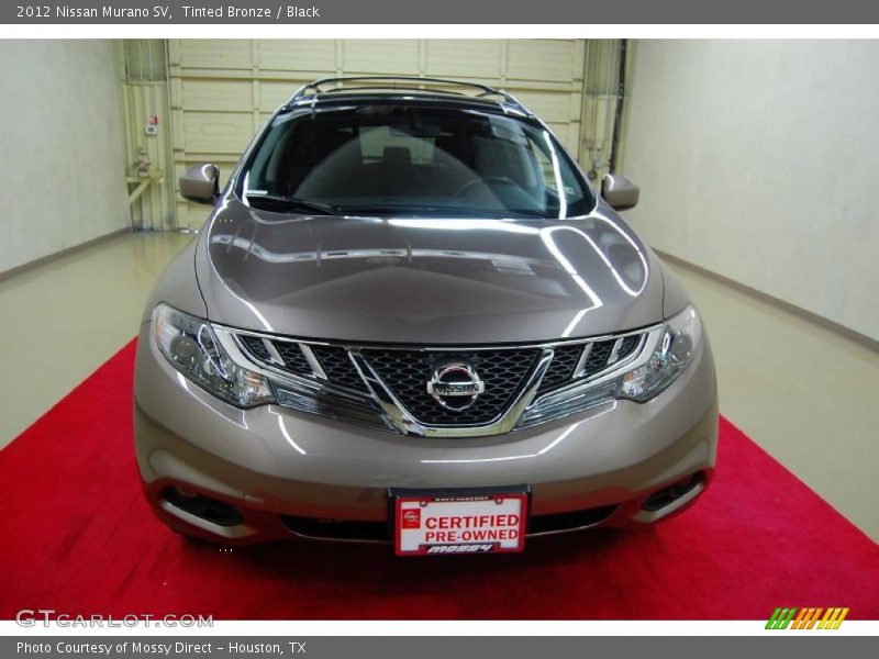 Tinted Bronze / Black 2012 Nissan Murano SV