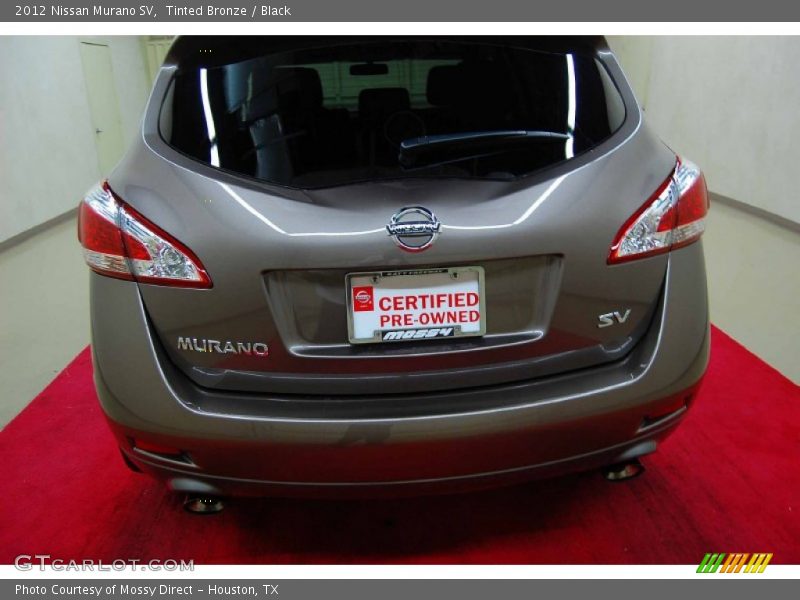 Tinted Bronze / Black 2012 Nissan Murano SV