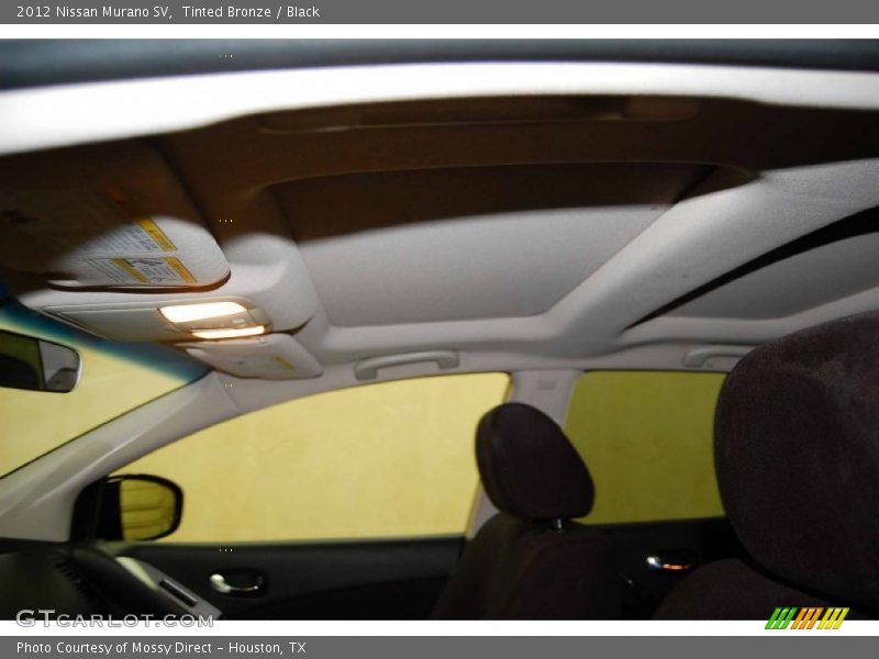 Tinted Bronze / Black 2012 Nissan Murano SV