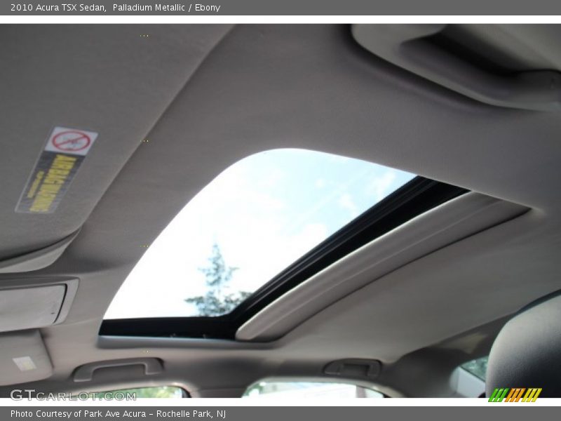 Palladium Metallic / Ebony 2010 Acura TSX Sedan