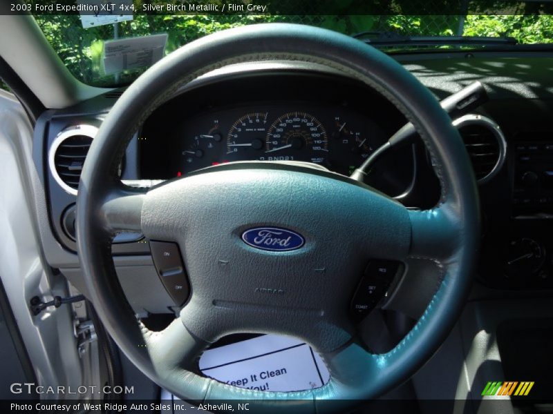 Silver Birch Metallic / Flint Grey 2003 Ford Expedition XLT 4x4