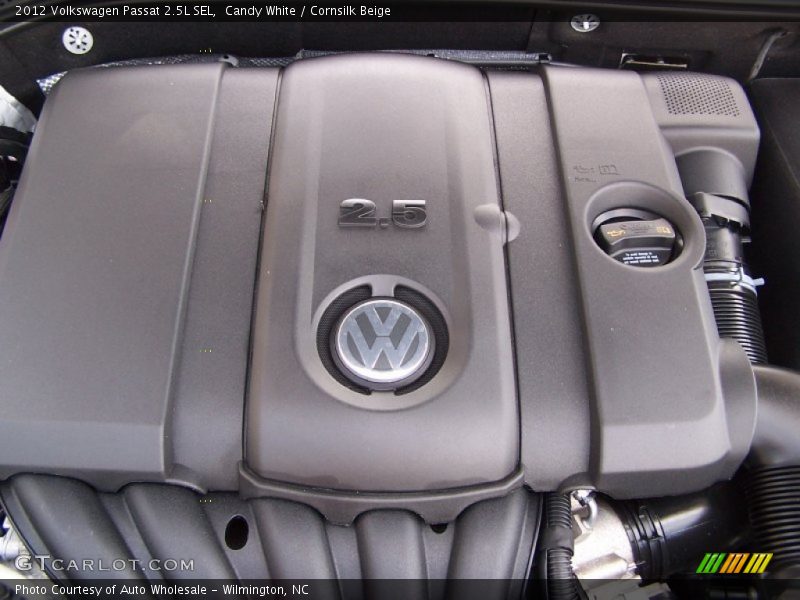 Candy White / Cornsilk Beige 2012 Volkswagen Passat 2.5L SEL
