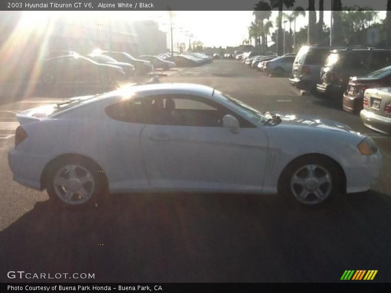 Alpine White / Black 2003 Hyundai Tiburon GT V6