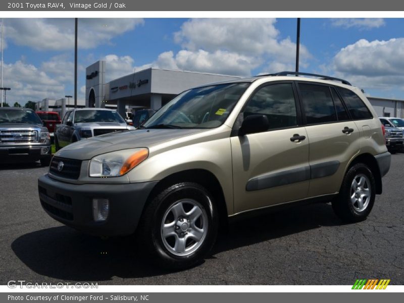 Vintage Gold / Oak 2001 Toyota RAV4