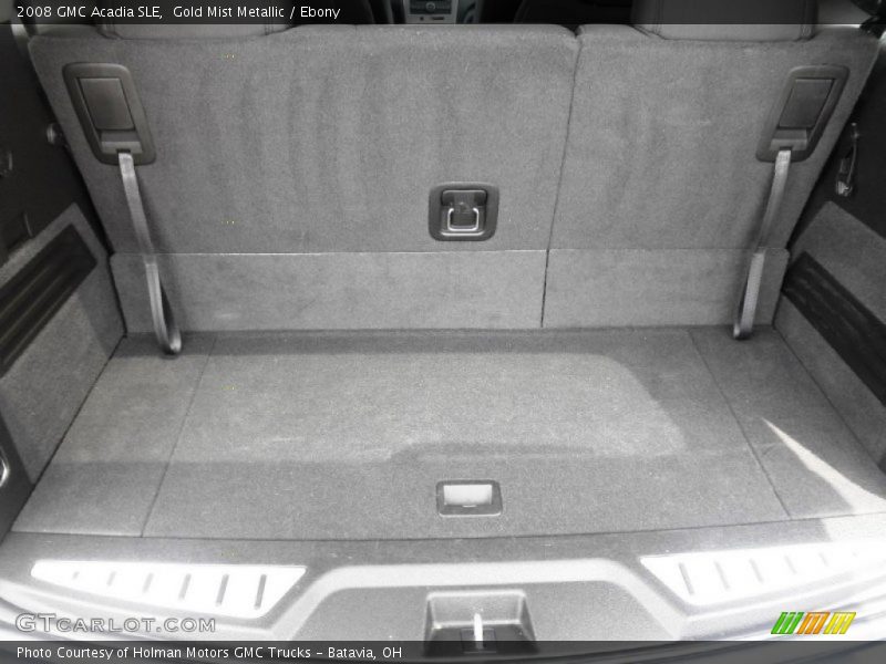 Gold Mist Metallic / Ebony 2008 GMC Acadia SLE