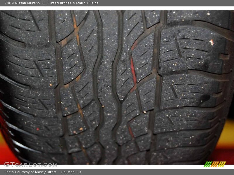 Tinted Bronze Metallic / Beige 2009 Nissan Murano SL