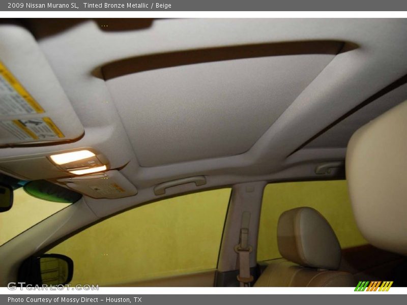 Tinted Bronze Metallic / Beige 2009 Nissan Murano SL