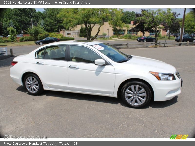 White Orchid Pearl / Ivory 2012 Honda Accord EX V6 Sedan