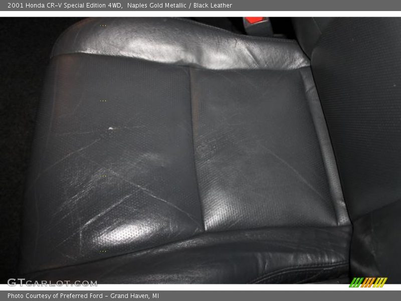 Naples Gold Metallic / Black Leather 2001 Honda CR-V Special Edition 4WD