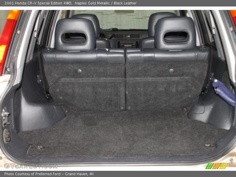 Naples Gold Metallic / Black Leather 2001 Honda CR-V Special Edition 4WD
