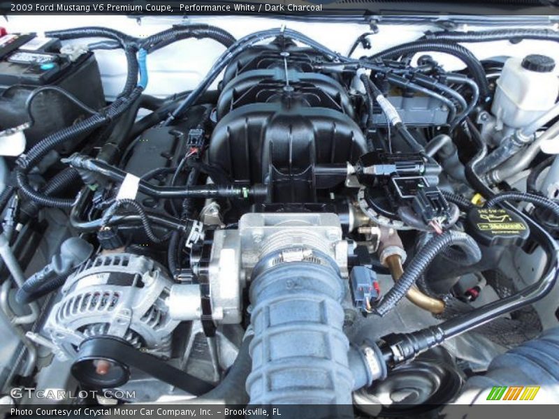Performance White / Dark Charcoal 2009 Ford Mustang V6 Premium Coupe