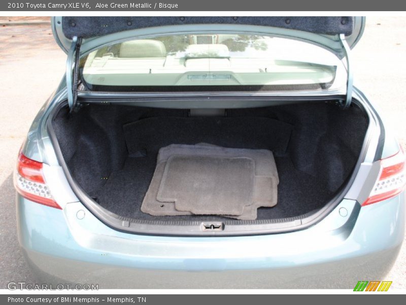 Aloe Green Metallic / Bisque 2010 Toyota Camry XLE V6