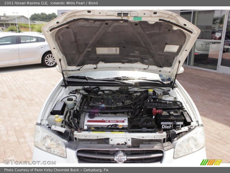 Icelandic White Pearl / Blond 2001 Nissan Maxima GLE