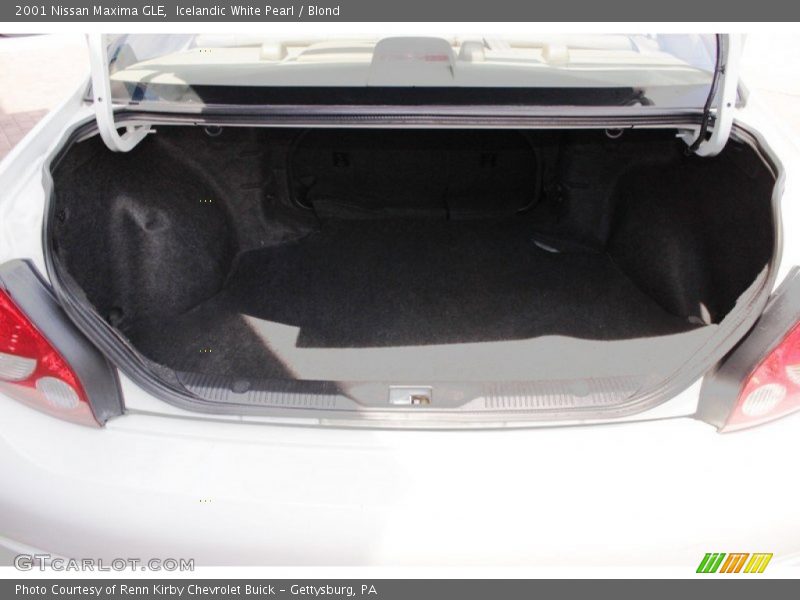 Icelandic White Pearl / Blond 2001 Nissan Maxima GLE
