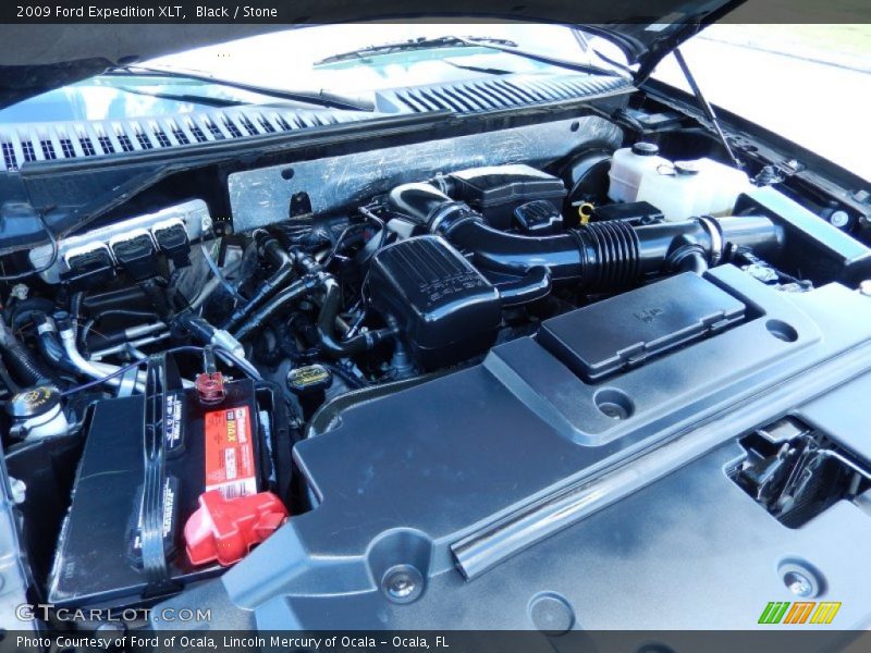 Black / Stone 2009 Ford Expedition XLT