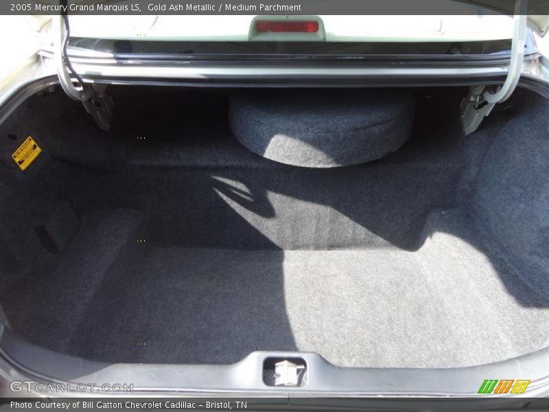 Gold Ash Metallic / Medium Parchment 2005 Mercury Grand Marquis LS