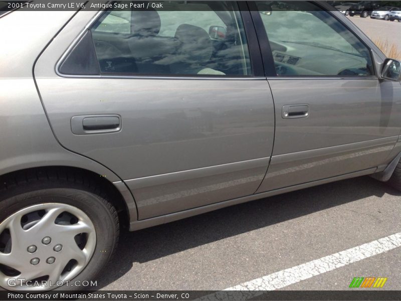 Antique Sage Pearl / Oak 2001 Toyota Camry LE V6