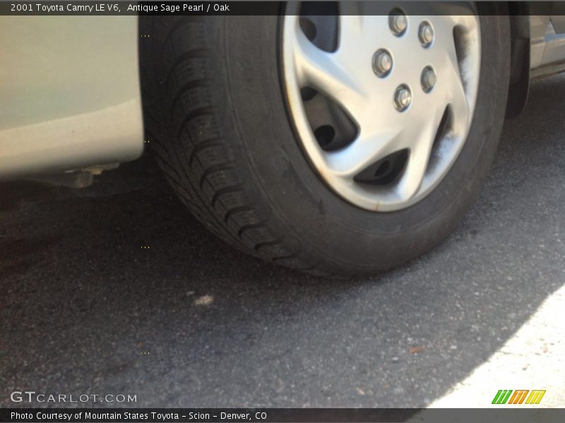 Antique Sage Pearl / Oak 2001 Toyota Camry LE V6