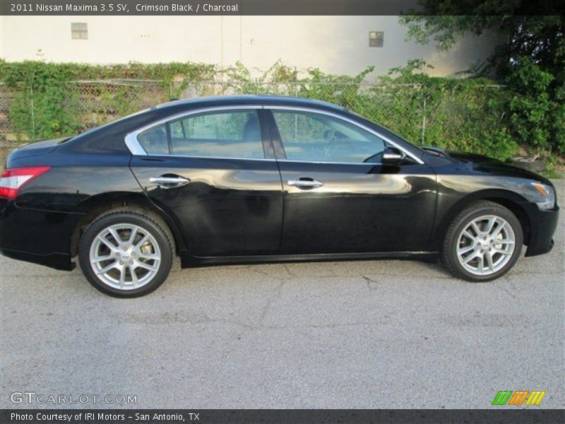 Crimson Black / Charcoal 2011 Nissan Maxima 3.5 SV