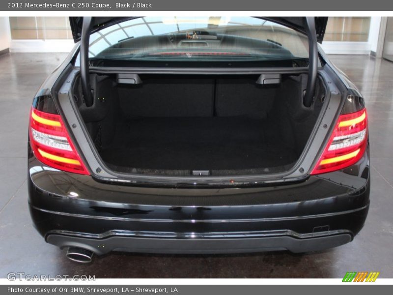 Black / Black 2012 Mercedes-Benz C 250 Coupe
