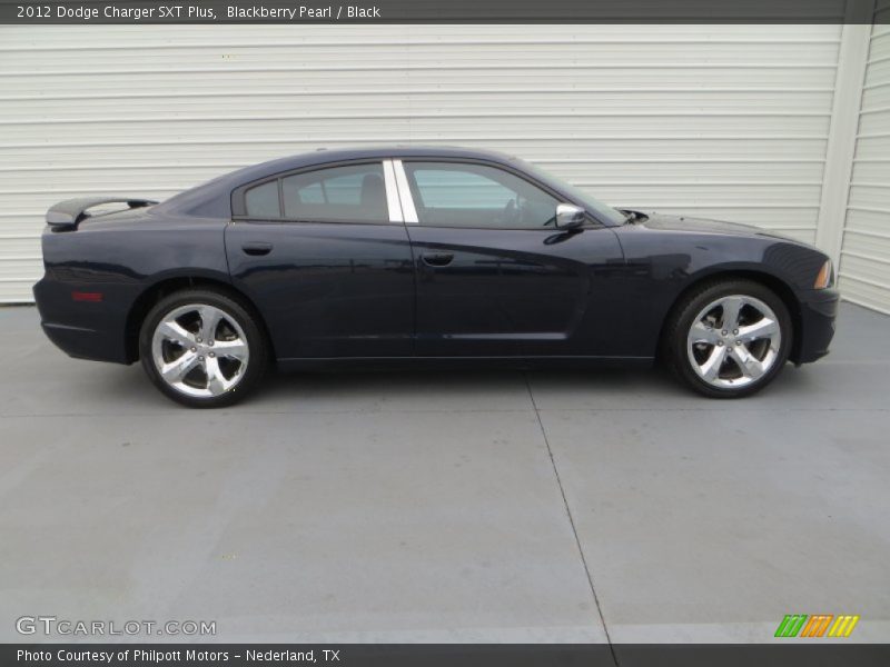 Blackberry Pearl / Black 2012 Dodge Charger SXT Plus