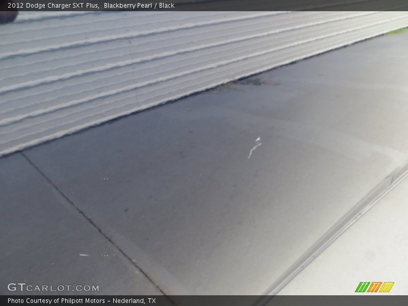 Blackberry Pearl / Black 2012 Dodge Charger SXT Plus