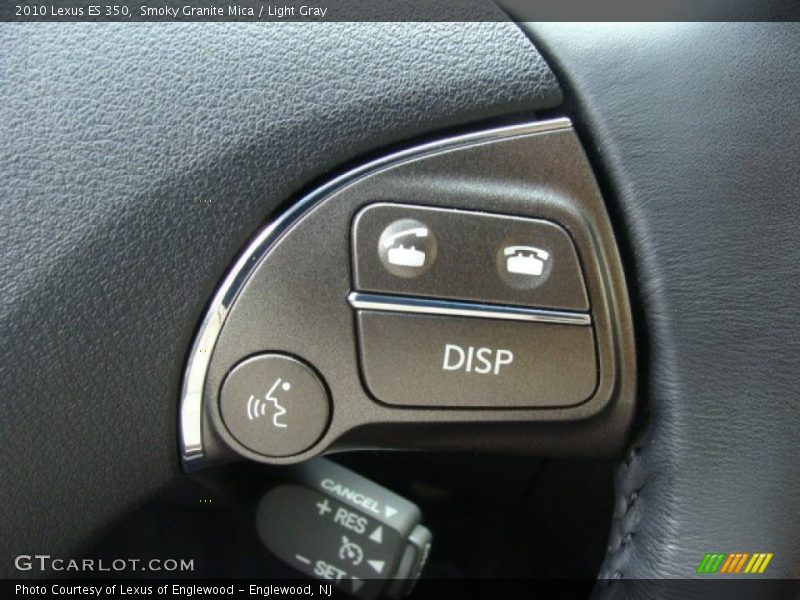 Smoky Granite Mica / Light Gray 2010 Lexus ES 350
