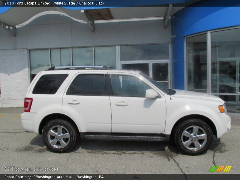 White Suede / Charcoal Black 2010 Ford Escape Limited