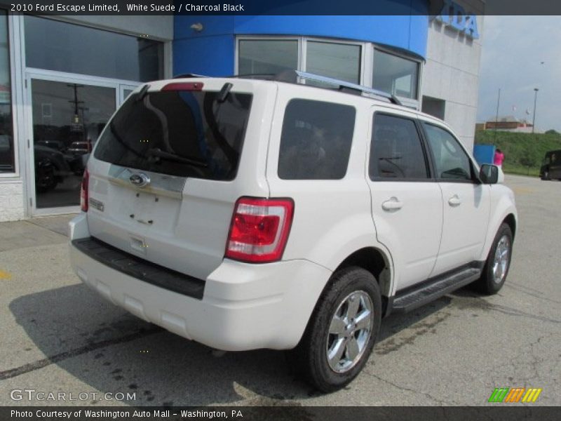 White Suede / Charcoal Black 2010 Ford Escape Limited