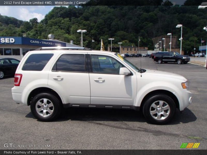 White Suede / Camel 2012 Ford Escape Limited 4WD