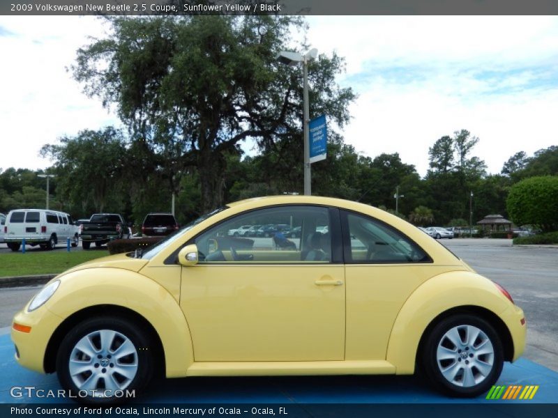 Sunflower Yellow / Black 2009 Volkswagen New Beetle 2.5 Coupe