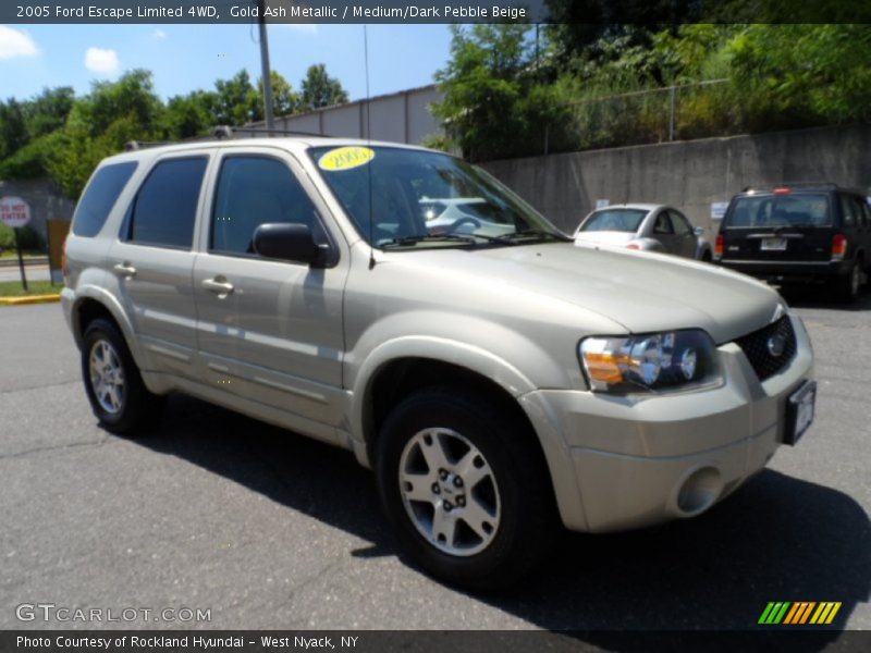 Gold Ash Metallic / Medium/Dark Pebble Beige 2005 Ford Escape Limited 4WD