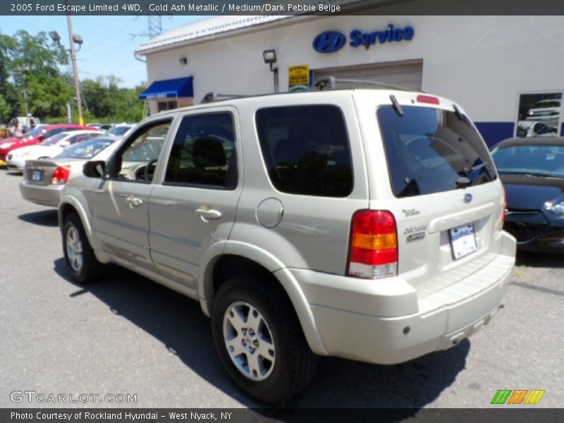Gold Ash Metallic / Medium/Dark Pebble Beige 2005 Ford Escape Limited 4WD